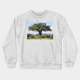 Hole in the Baobab Tree Crewneck Sweatshirt